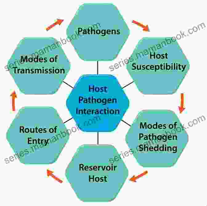 A Conceptual Diagram Depicting The Intricate Web Of Factors Involved In Disease Pathogenesis, Highlighting Host Pathogen Interactions, Immune Responses, And Genetic Influences. 6 Stages Of Disease Creation: How Disease First Appears In The Human Body (The 20 Minutes To Health Series)