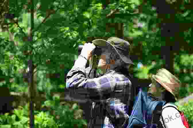 A Family Bird Watching In A Field The Kids Guide To Birds Of Georgia: Fun Facts Activities And 87 Cool Birds (Birding Children S Books)