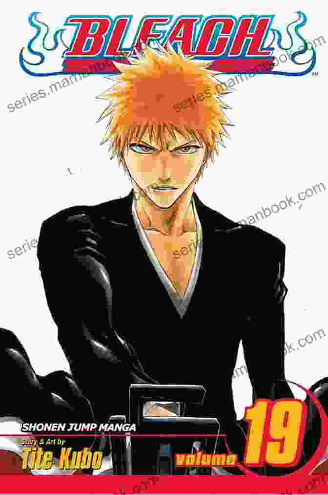 Bleach Vol 11 Star And Stray Dog Manga Cover Featuring Ichigo Kurosaki And Rukia Kuchiki Bleach Vol 11: A Star And A Stray Dog