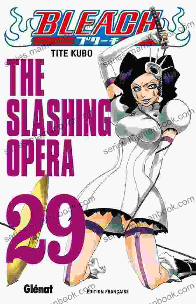 Bleach Vol 29: The Slashing Opera Manga Cover Featuring Ichigo Kurosaki And Byakuya Kuchiki Bleach Vol 29: The Slashing Opera