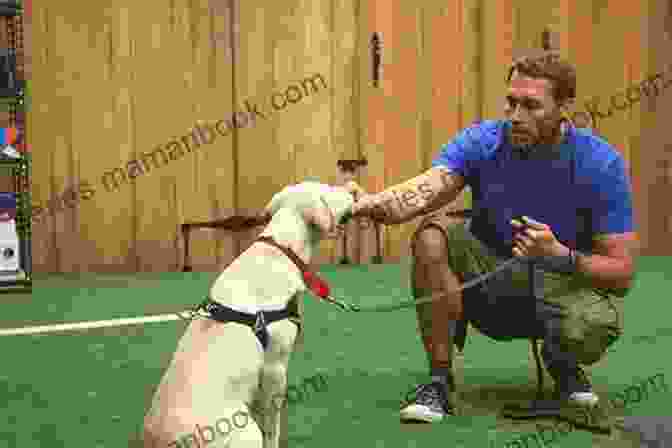 Dog Trainer Working With A Puppy Zak George S Guide To A Well Behaved Dog: Proven Solutions To The Most Common Training Problems For All Ages Breeds And Mixes