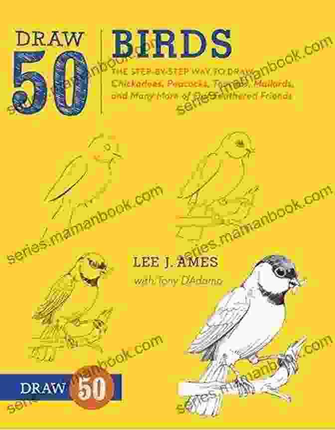 How To Draw Birds With Simple Steps: A Guide To Drawing 50 Birds From All Over The World The Kids Guide To Birds Of Texas: Fun Facts Activities And 90 Cool Birds (Birding Children S Books)