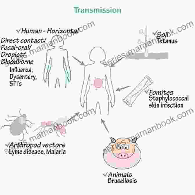 Illustration Of Pathogenic Microorganisms Invading The Host's Body And Establishing Colonization, Leading To The Onset Of Infection. 6 Stages Of Disease Creation: How Disease First Appears In The Human Body (The 20 Minutes To Health Series)