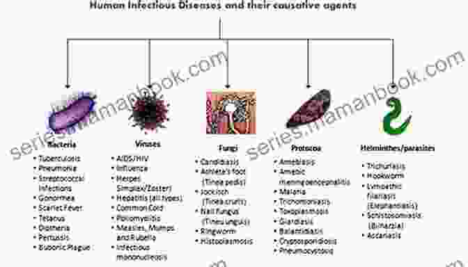 Image Depicting The Diverse Etiological Agents Responsible For Disease Creation, Including Bacteria, Viruses, And Chemicals. 6 Stages Of Disease Creation: How Disease First Appears In The Human Body (The 20 Minutes To Health Series)