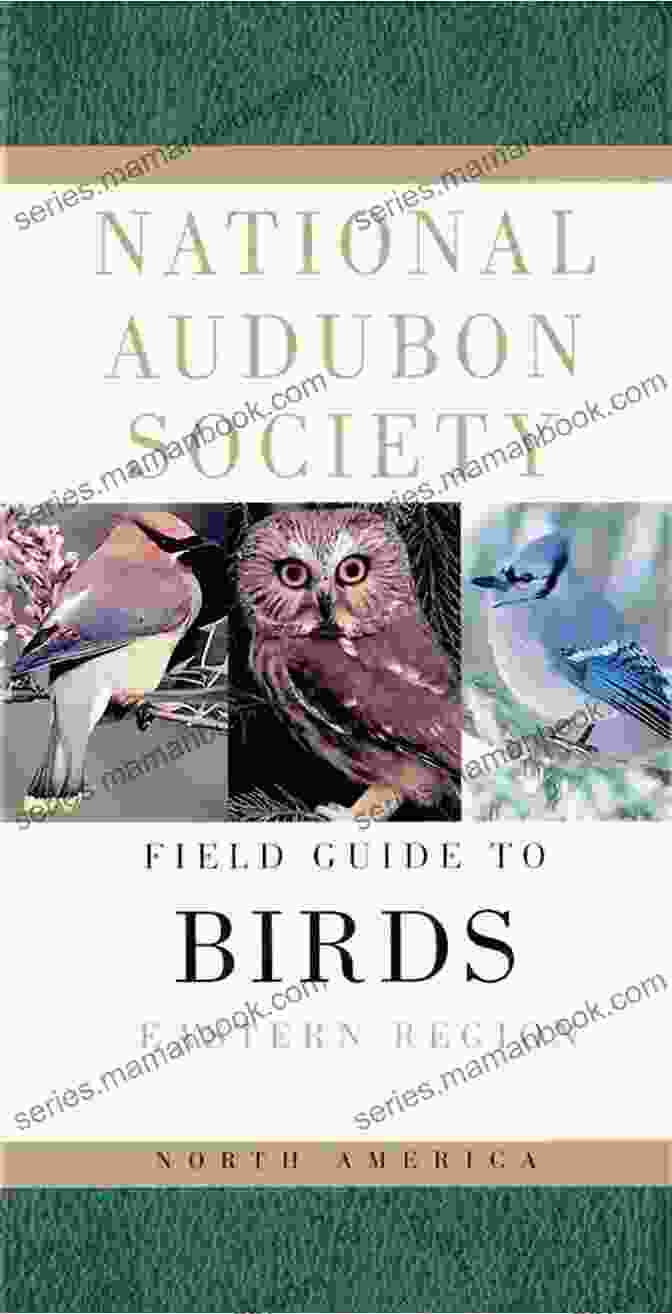 National Audubon Society Field Guide To North American Birds The Kids Guide To Birds Of Texas: Fun Facts Activities And 90 Cool Birds (Birding Children S Books)