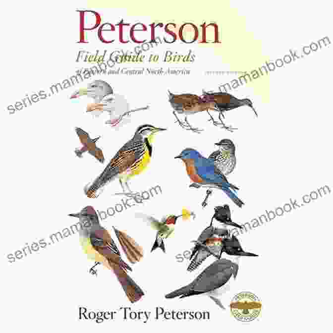 Peterson Field Guide To Birds Of Eastern North America The Kids Guide To Birds Of Texas: Fun Facts Activities And 90 Cool Birds (Birding Children S Books)