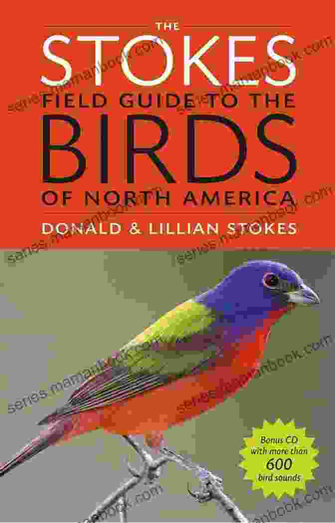 Stokes Field Guide To Birds: Western Region The Kids Guide To Birds Of Texas: Fun Facts Activities And 90 Cool Birds (Birding Children S Books)