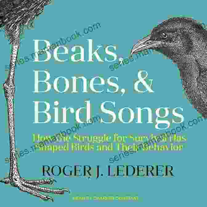 The Book Of Beak Honks And Bird Songs: Quirks, Quizzes, And Activities That Celebrate The World's Most Amazing Birds The Kids Guide To Birds Of Texas: Fun Facts Activities And 90 Cool Birds (Birding Children S Books)