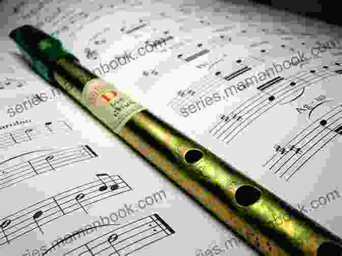 Tin Whistle Player The Melodic Tradition Of Ireland (World Musics)