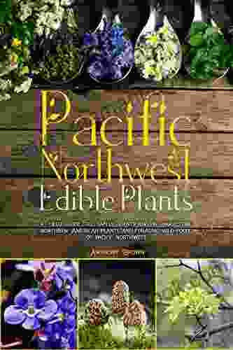 Pacific Northwest Edible Plants: A Field Guide To Safely Identifying Harvesting Northern American Plants And Foraging Wild Foods Of Pacific Northwest