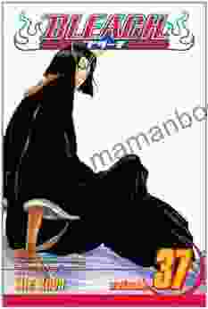 Bleach Vol 37: Beauty Is So Solitary