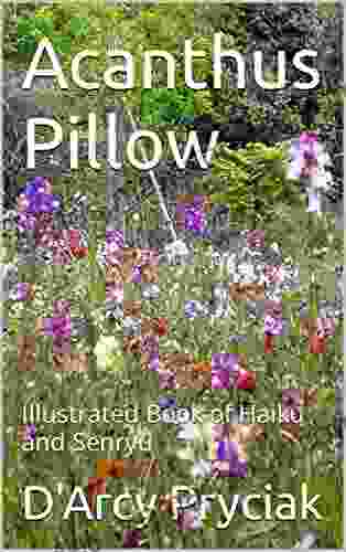 Acanthus Pillow: Illustrated Of Haiku And Senryu